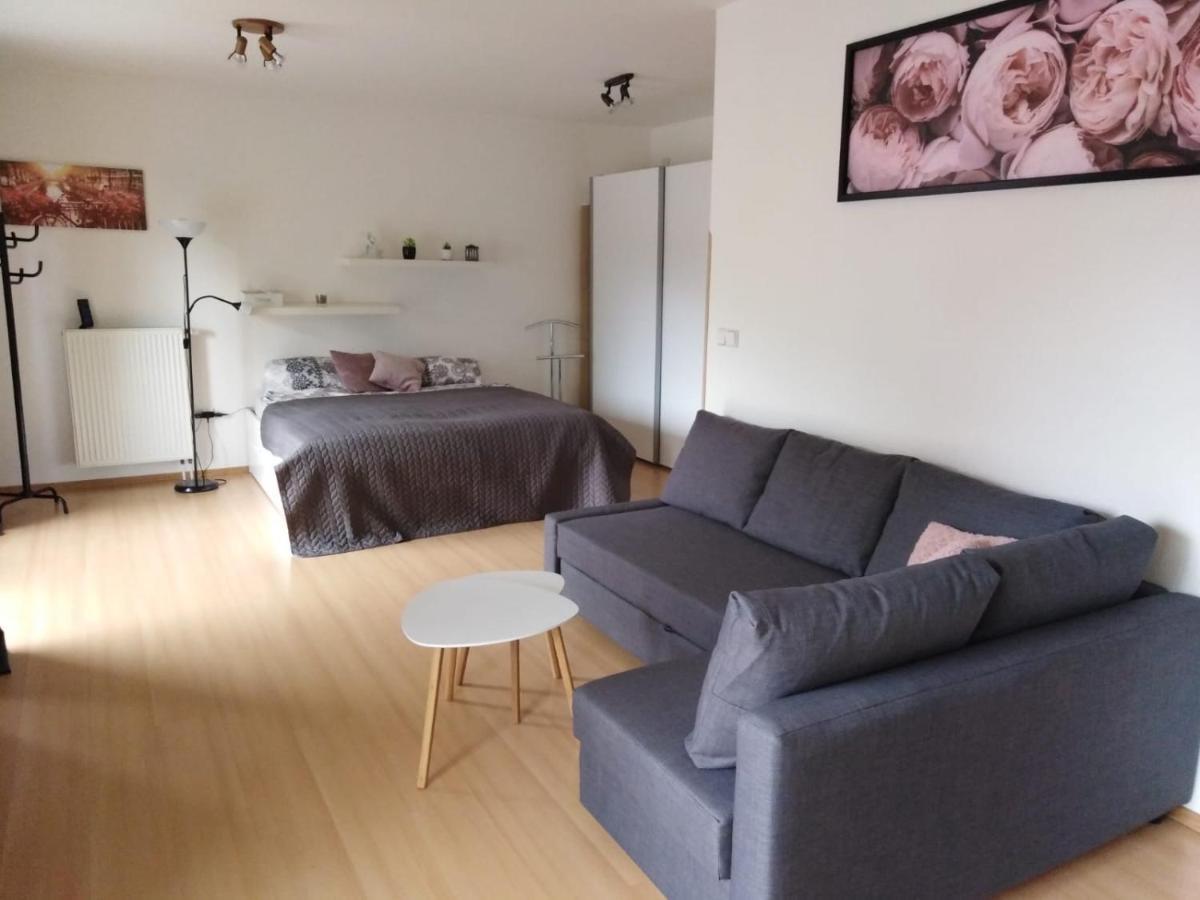 Apartment Archa Poděbrady Eksteriør bilde
